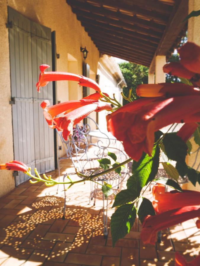 Mas De La Croix - Chambres D'Hotes Sernhac エクステリア 写真